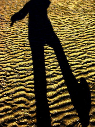 photo ombre chinoise contemporaine