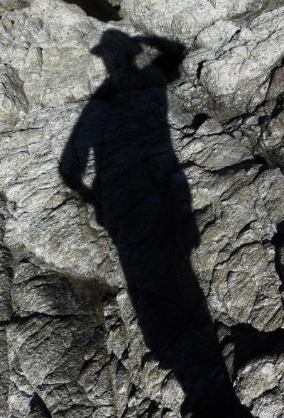 photographie ombre chinoise contemporaine