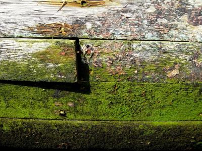 photographie épave échoué Morbihan