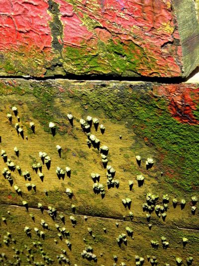 photographie cimetière de bateaux